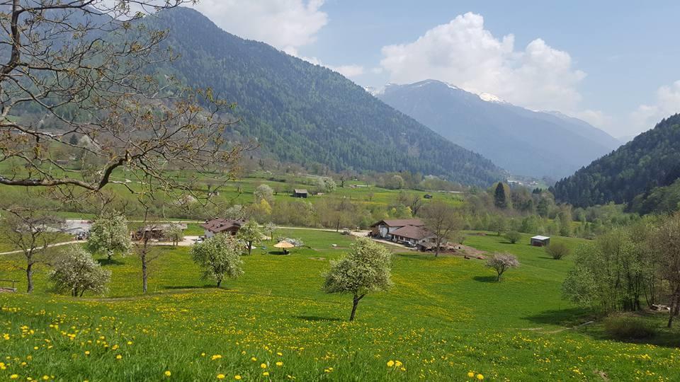 Willa Agriturismo Fattoria Dalcastagne Torcegno Zewnętrze zdjęcie